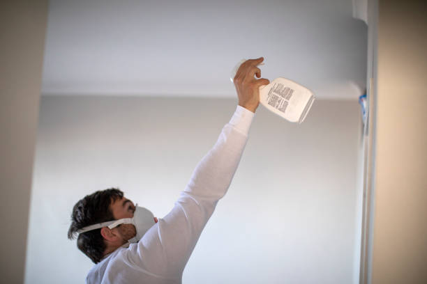Best Attic Mold Removal  in Avondale, AZ
